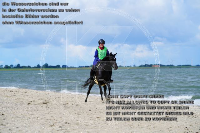 s_K3F05206.JPG